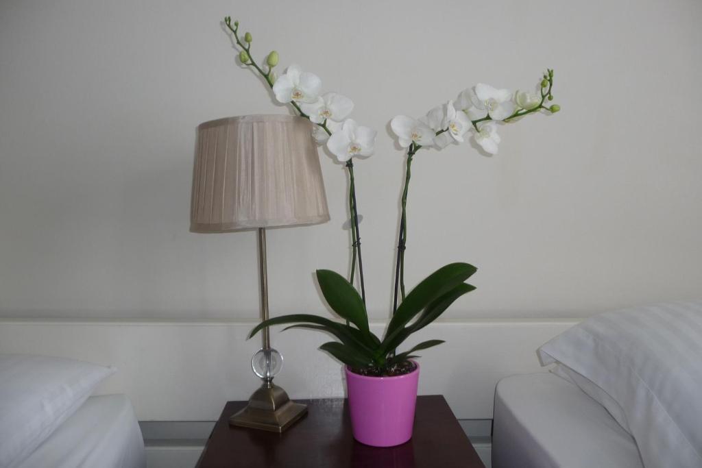 Отель Killarney House Western Road Корк Номер фото